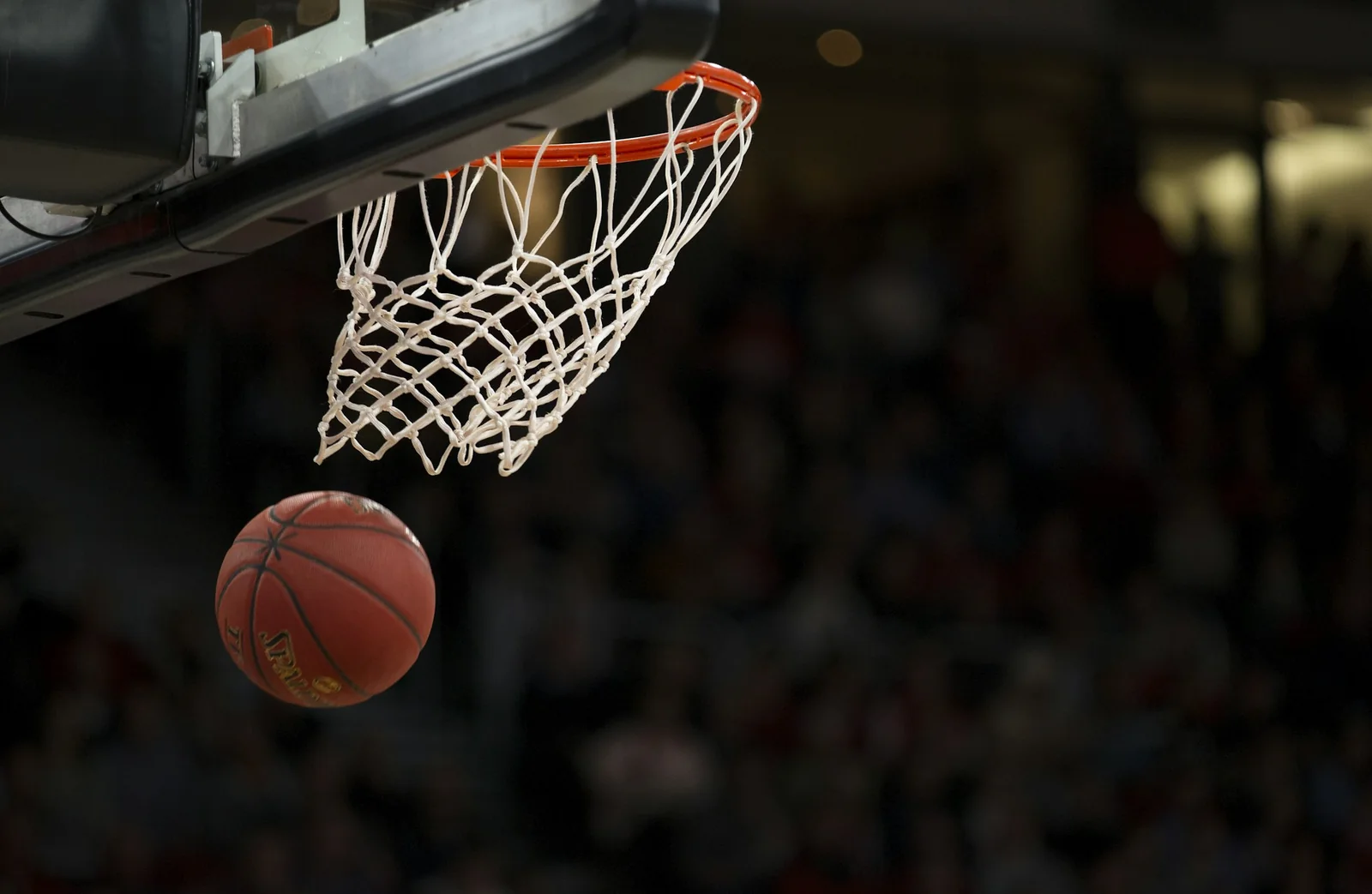 UCLA Captures First Women's Basketball National Championship in Dominant Fashion